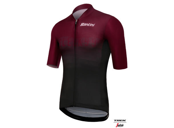 Santini Teamtøy Sleek99 sykkeltrøye M