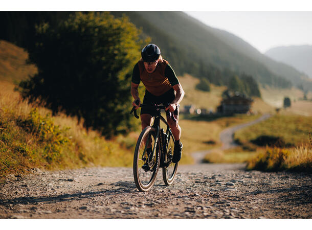 Mavic Allroad S Carbon Bakhjul 12x142, Disc Center Lock, Shimano 