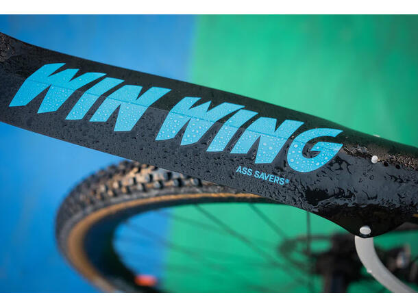 ASS SAVER Win Wing Gravel Bakskjerm Logo 