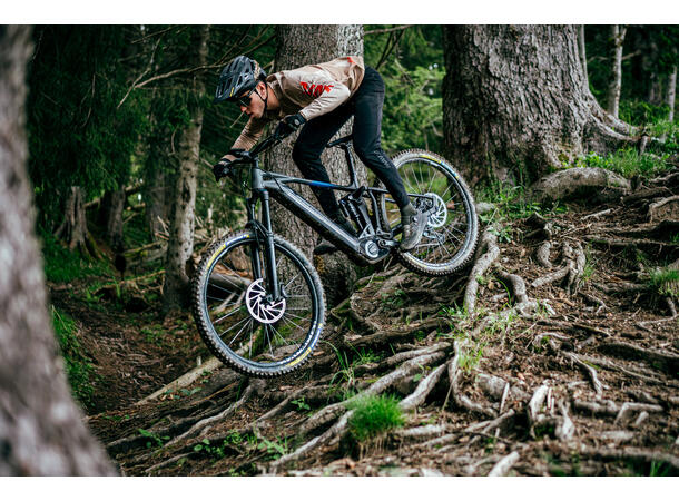 Mavic E-Deemax S 29 Bakhjul Boost 12x148, 6bolt, XD 