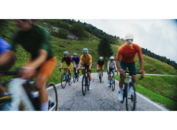 Santini RTR kortermet trøye Ochre Ochre str. S 